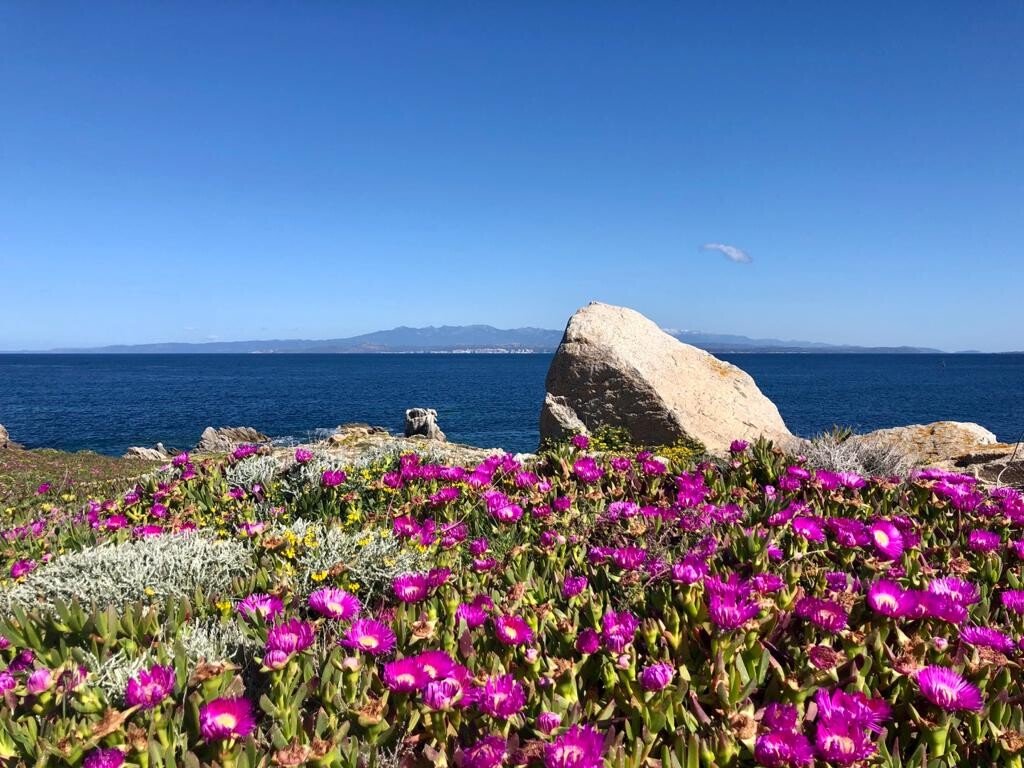 Studio moderne, 1 chambre, avec piscine