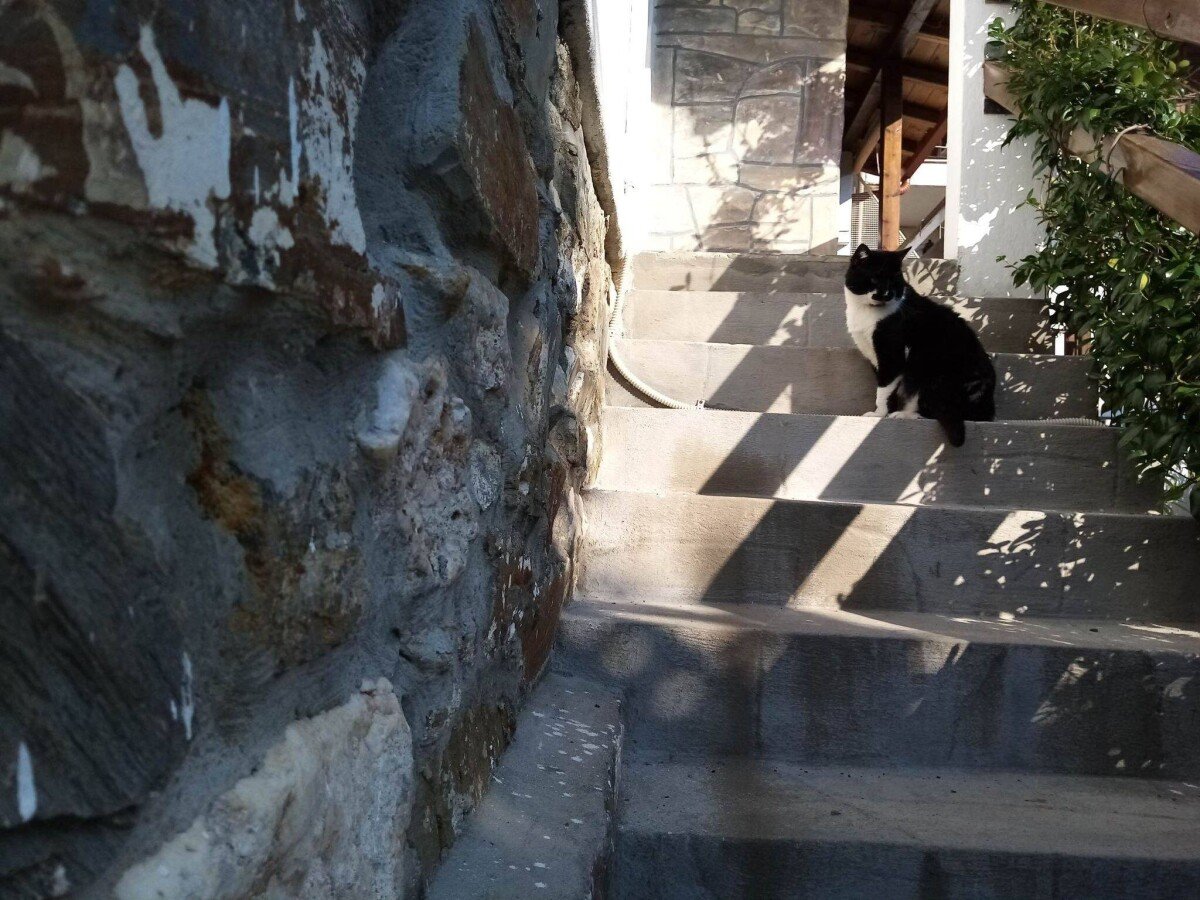 Appartamento 2 camere, con giardino