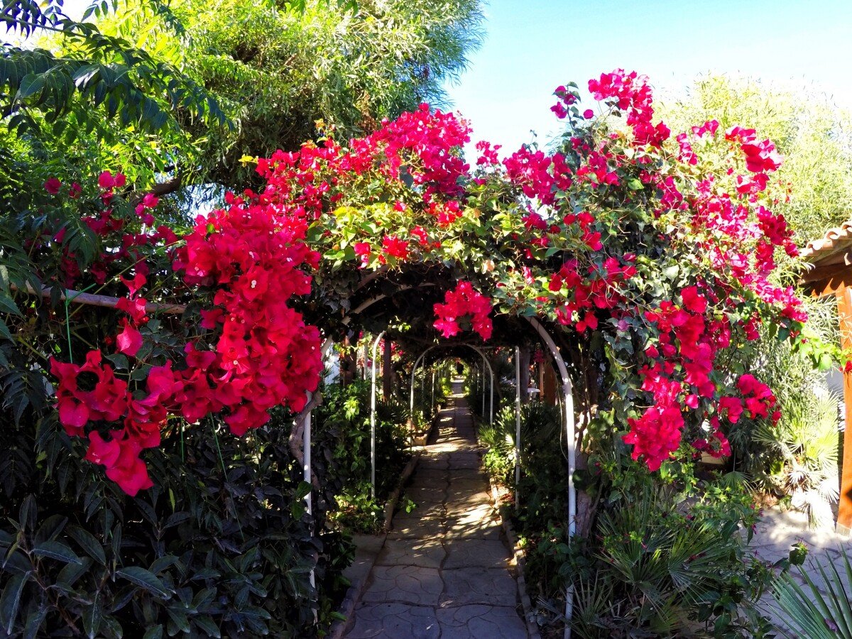 Casa 2 camere, con vista mare