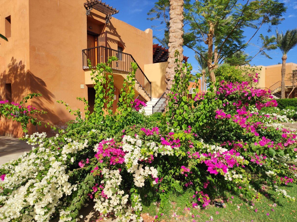 Studio 2 chambres, avec piscine