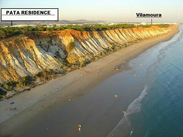 Appartement 1 chambre, avec piscine