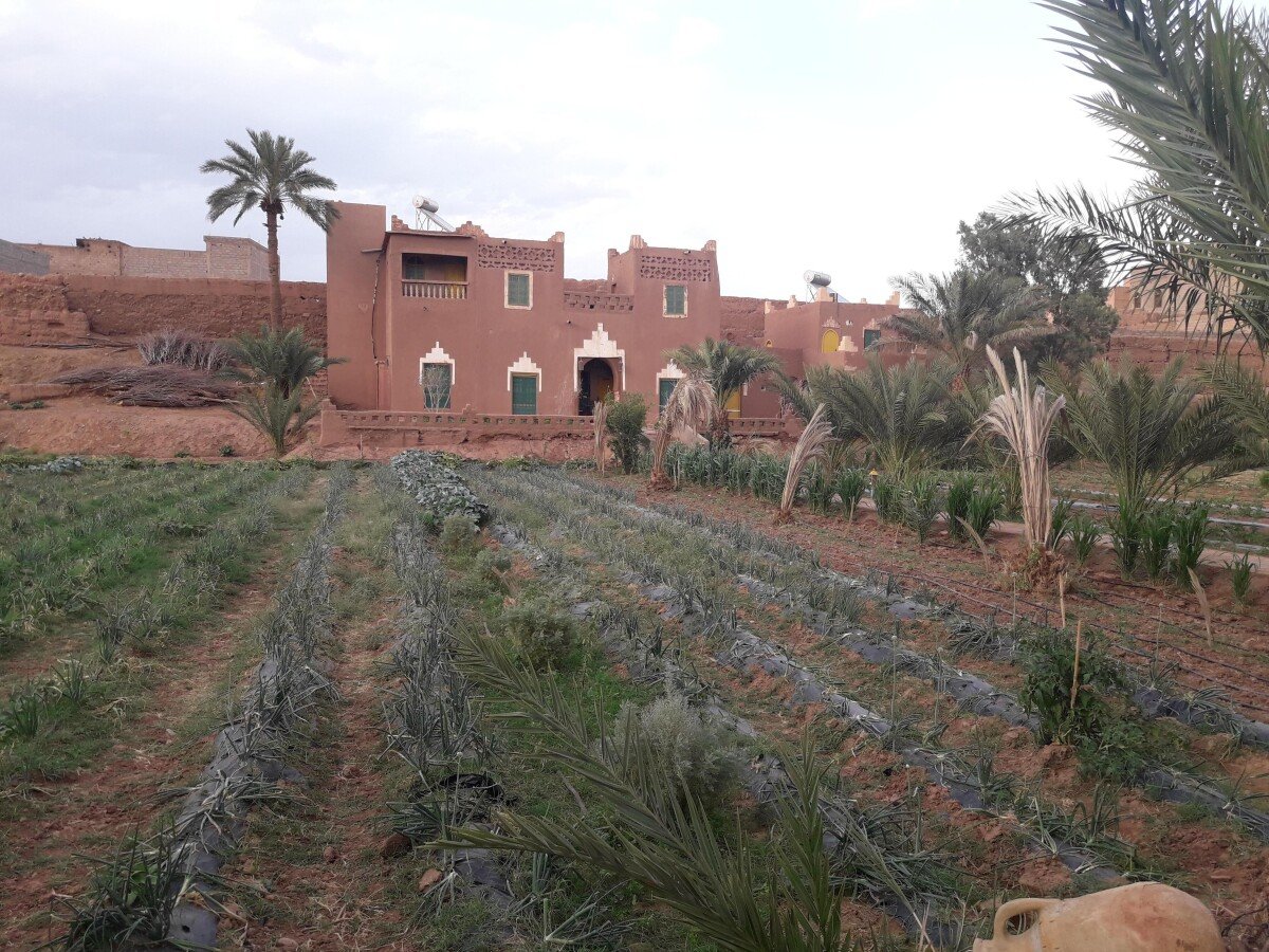 Appart'Hotel chic, 1 chambre, avec piscine