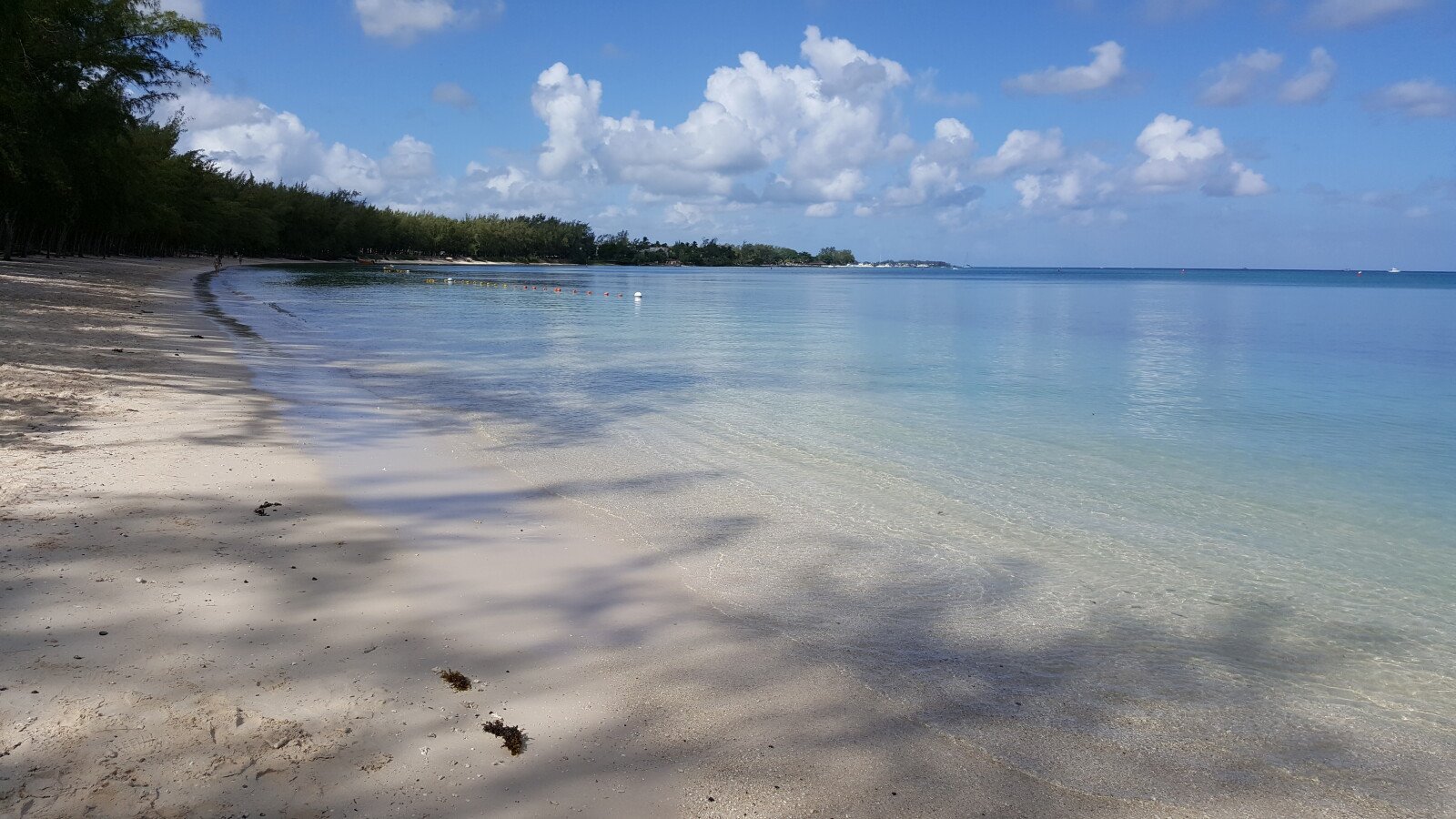 Apartment 1 bedroom, with sea view