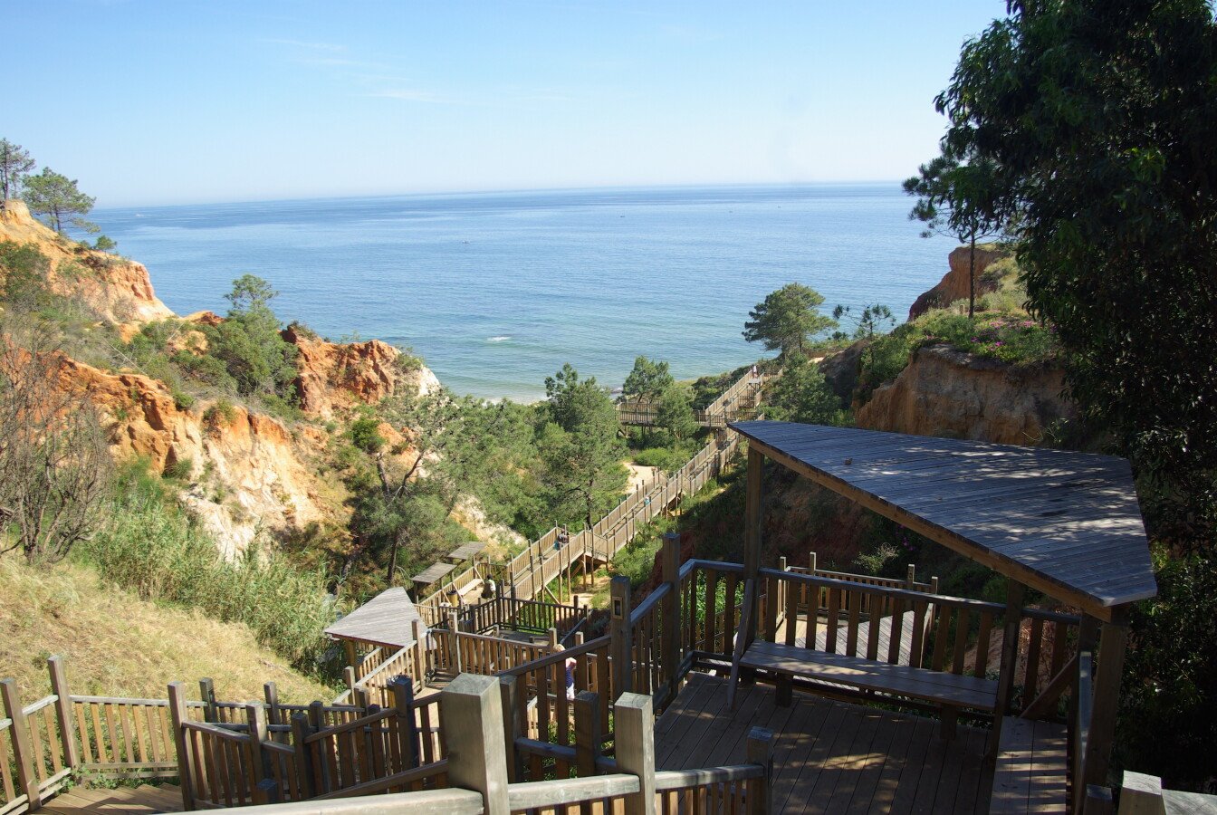 Appartement 1 chambre, avec piscine