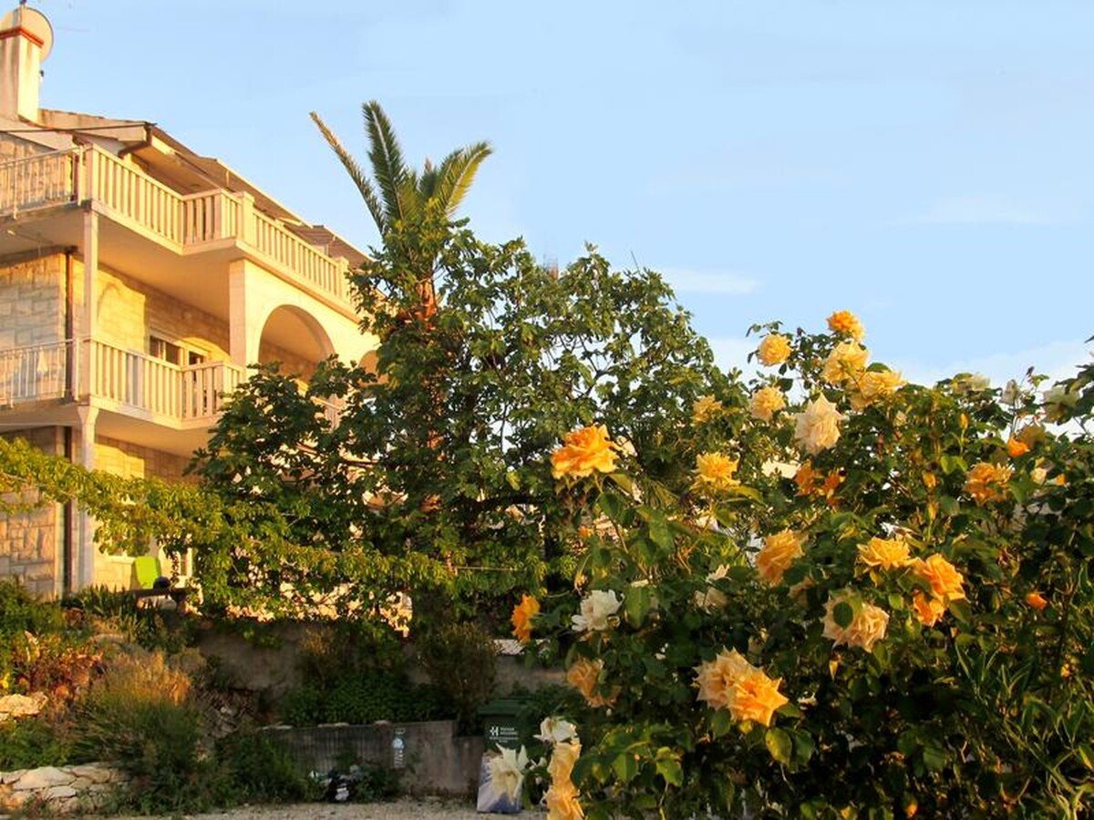 Appartement confortable, 1 chambre, avec vue sur mer