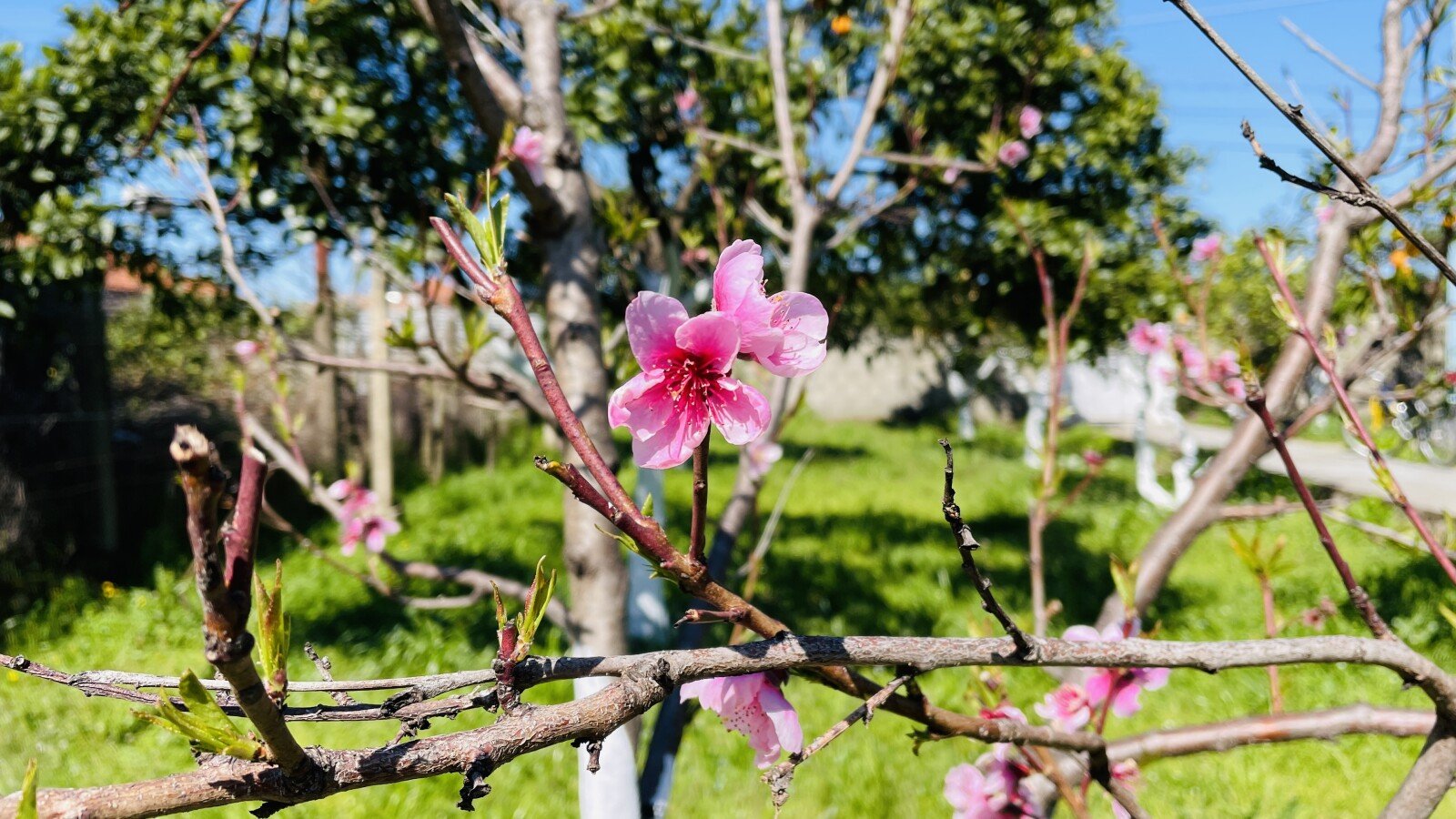 Ferienhaus 2 Schlafzimmer, mit Klimaanlage