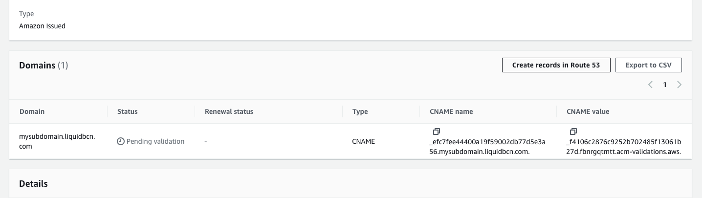 DNS validation