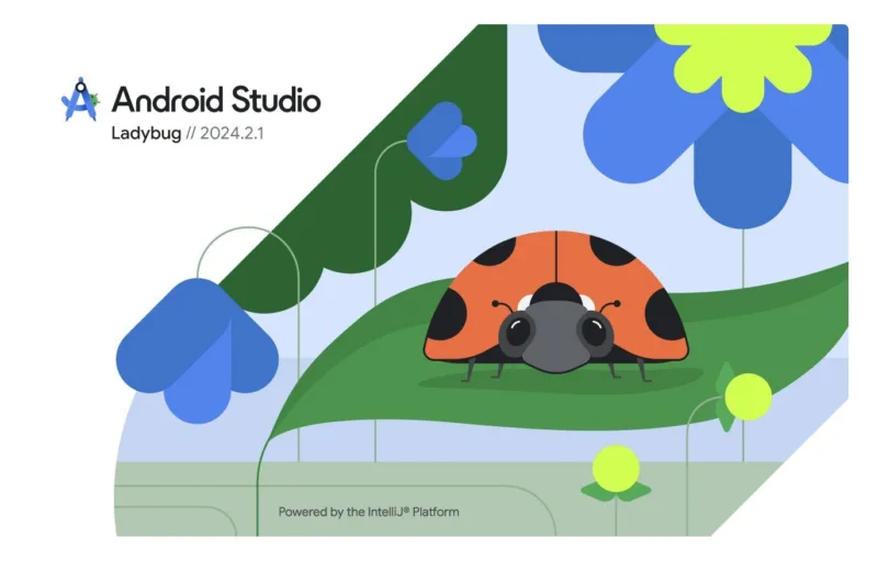 Diagrama compatibilitat Android Studio Ladybug Java 21 Flutter solució