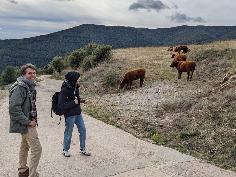 Asset633db1201619f7 11099191