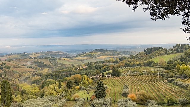 Carnelutti e il metadiritto