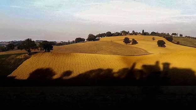 La questione del metodo tra filosofia e teoria del diritto
