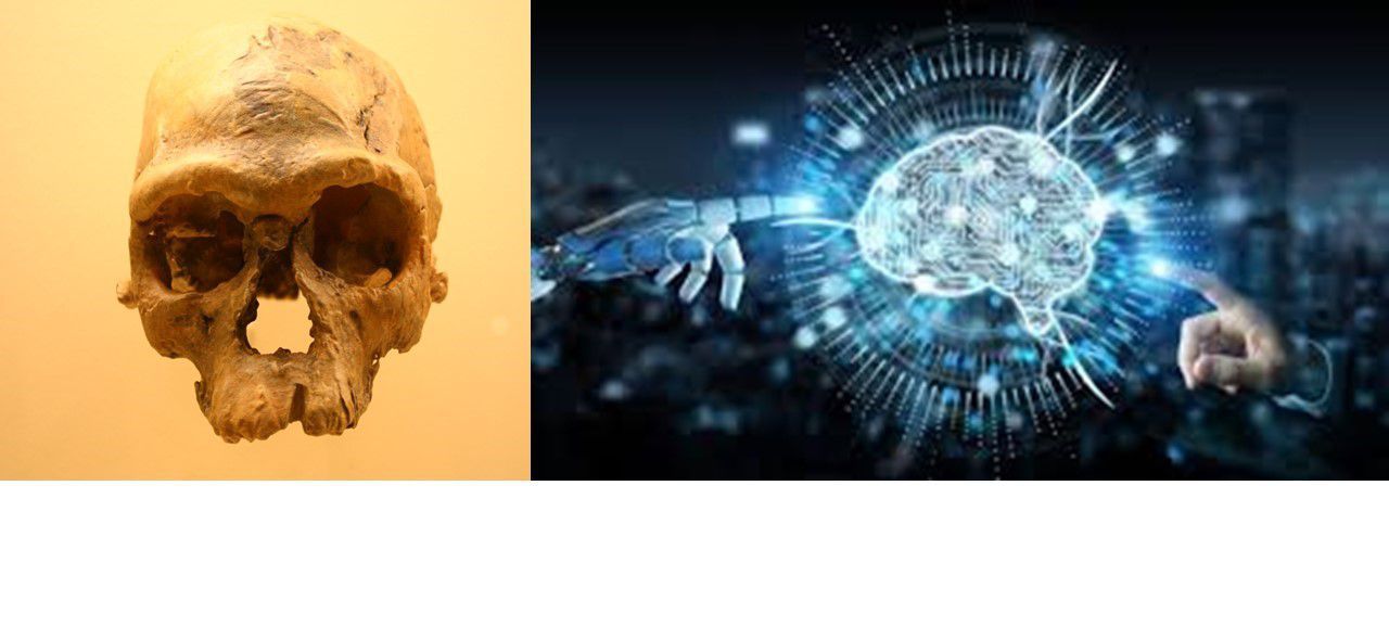 L’alba della norma: un’ipotesi neuro-archeologica