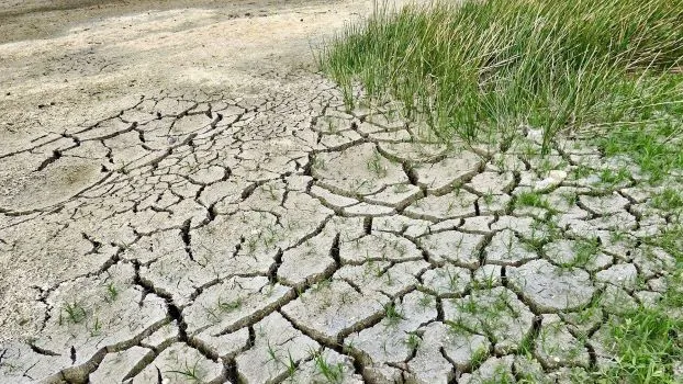 Dal diritto ambientale al diritto delle relazioni ecosistemiche