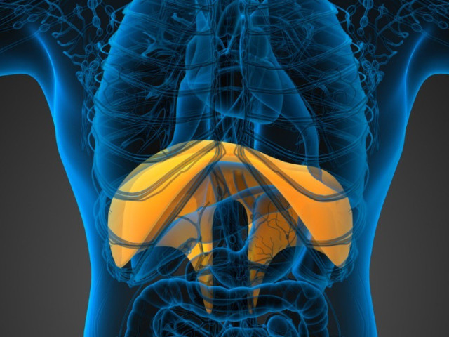 course image