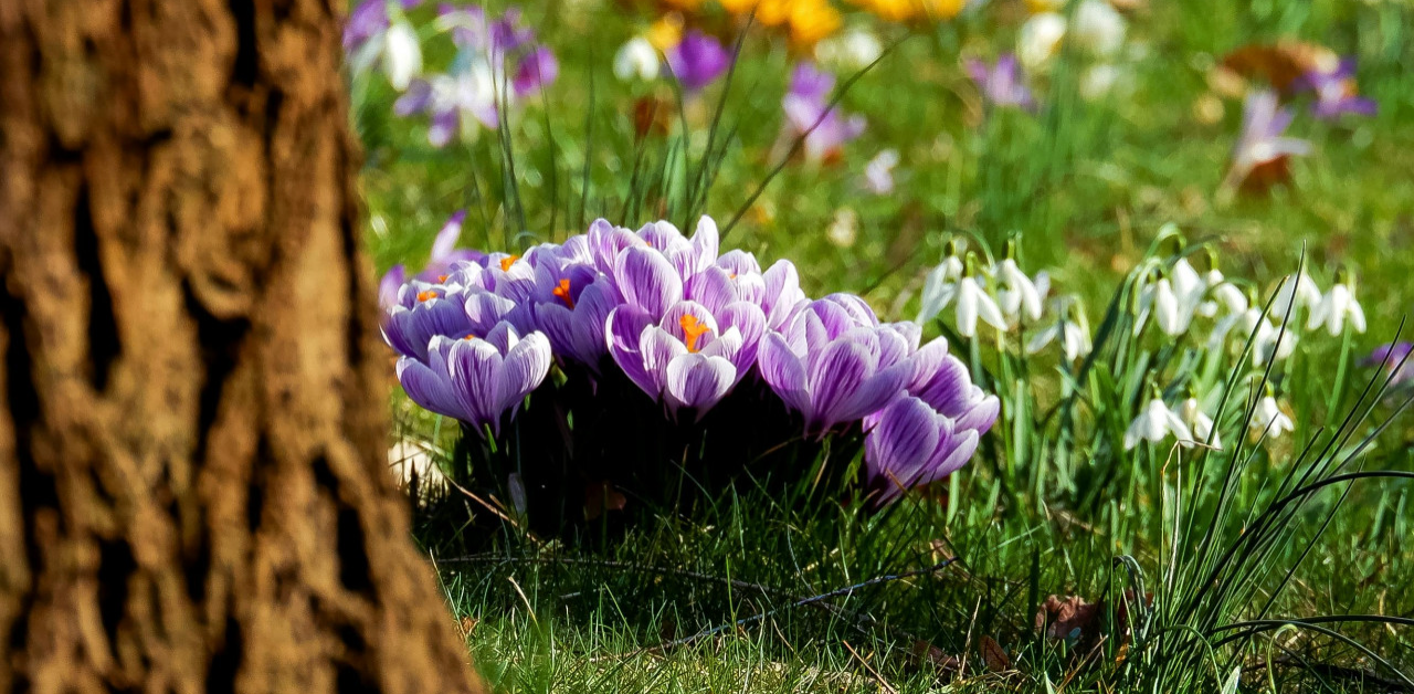 Tegel banner afbeelding _69cac05b4771f