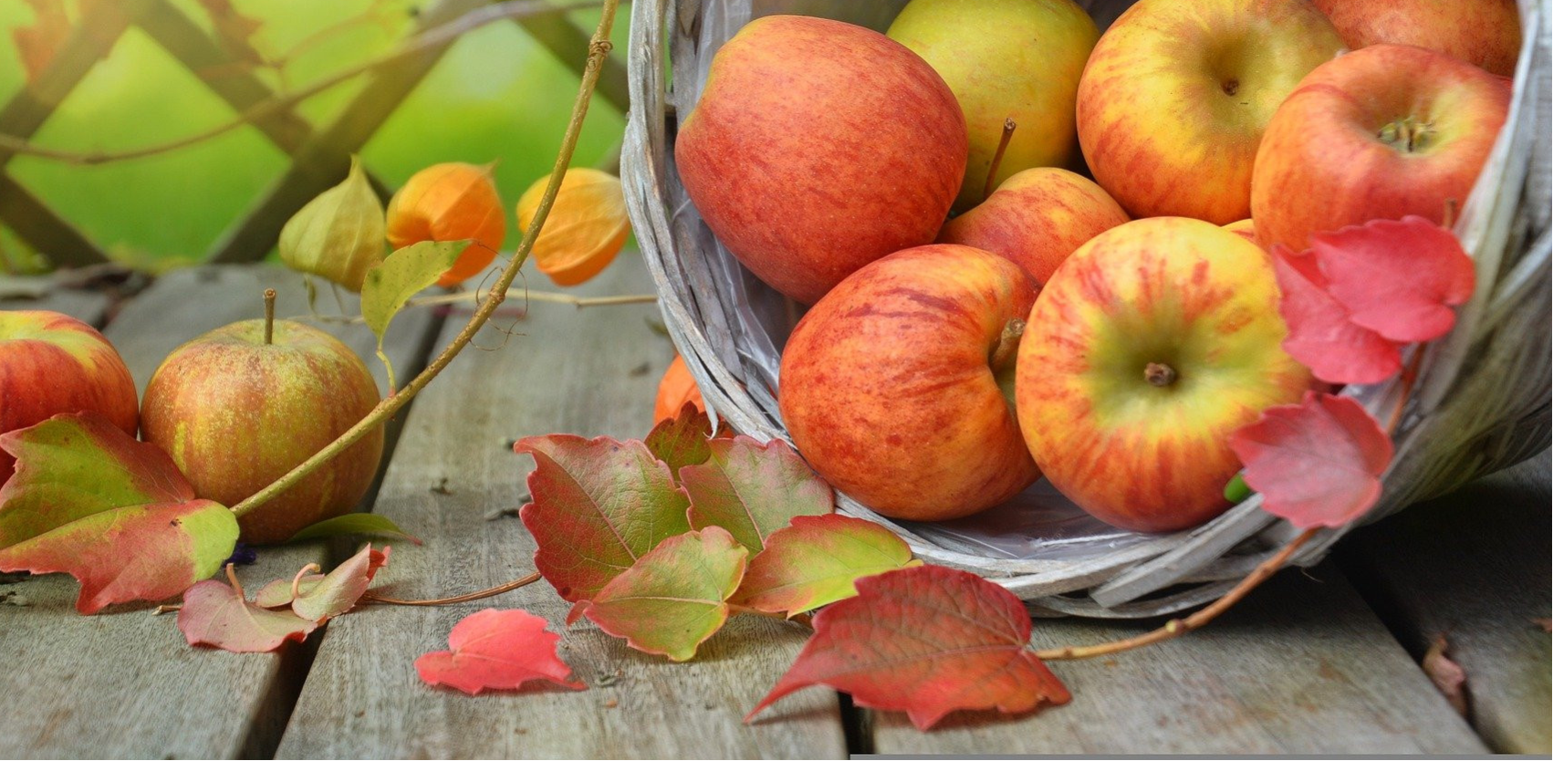 Welkom bij Apotheek Lories