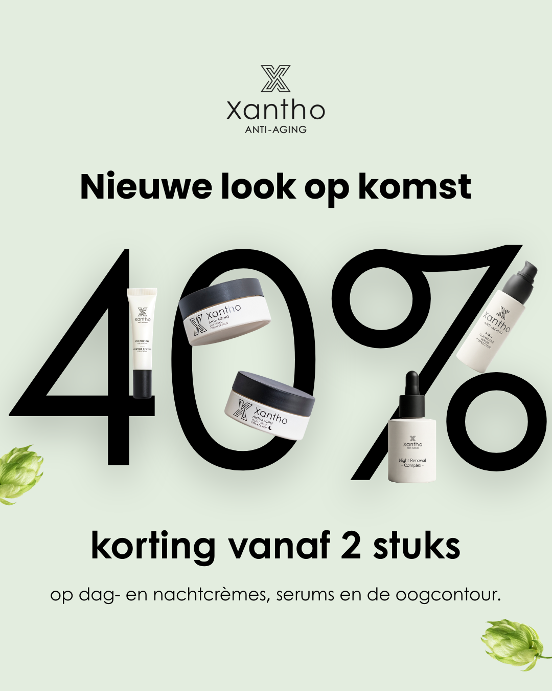 Xantho -40%!