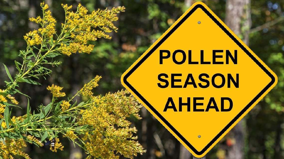 Allergies: top départ !
