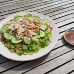 Heerlijke salade gemaakt van kool, komkommer, lente-ui en kip!