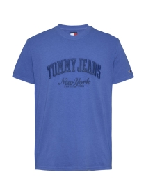 TJM REG VINTAGE VARSITY TEE, BLUE