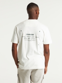 DRACO LIGHT, OFF WHITE
