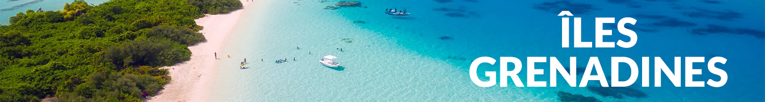 Tous les bateaux à la location aux Grenadines
