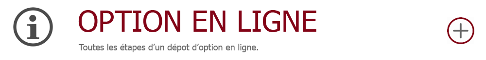 Mise d'un option en ligne