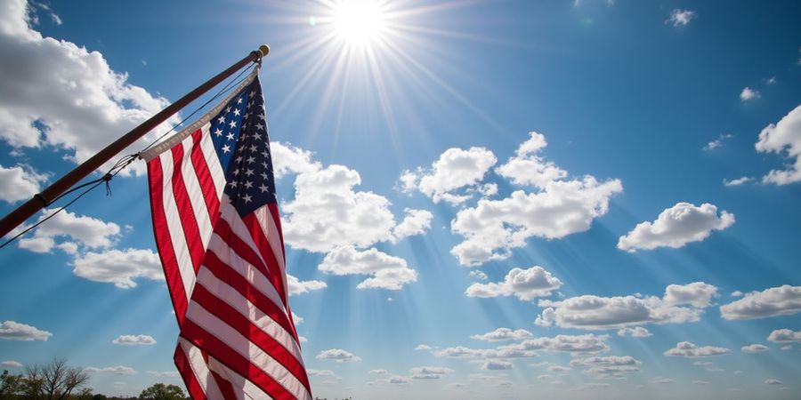 Forest VPN: The Ultimate US Traveler & Remote Worker Choice