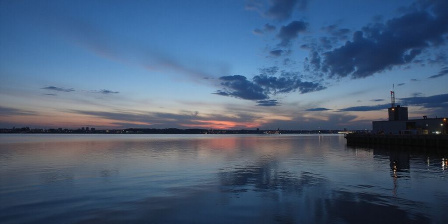 Fast, Secure VPN in Europe: Forest VPN Review 2025