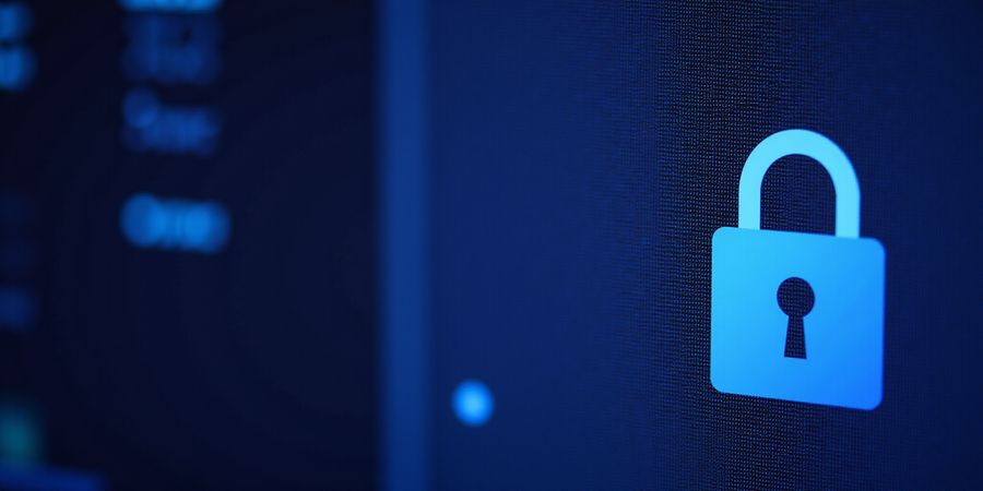 VPN Bans Explained: How Forest VPN Keeps You Safe