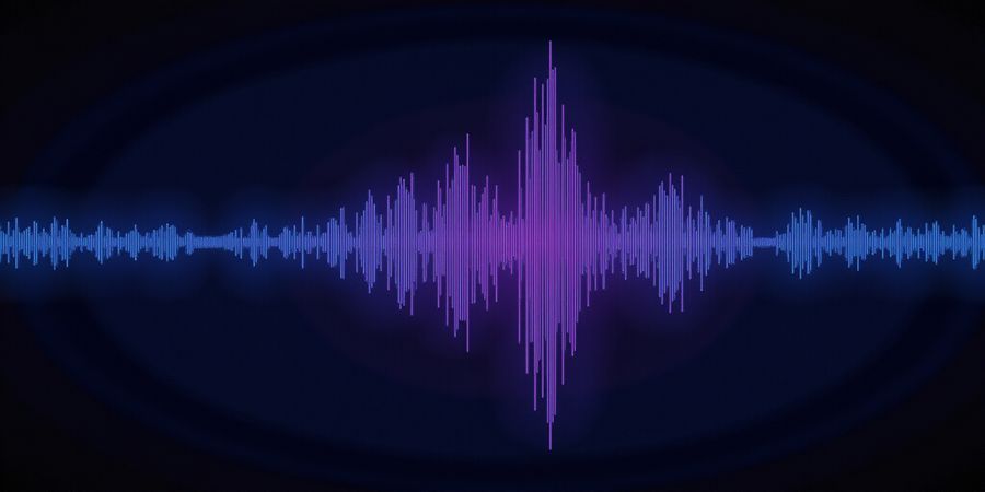 Stay Connected with Forest VPN: Low Latency, Affordable