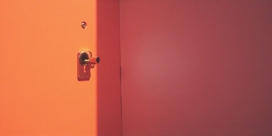 Forest VPN Review: Fast, Affordable, No-Logs