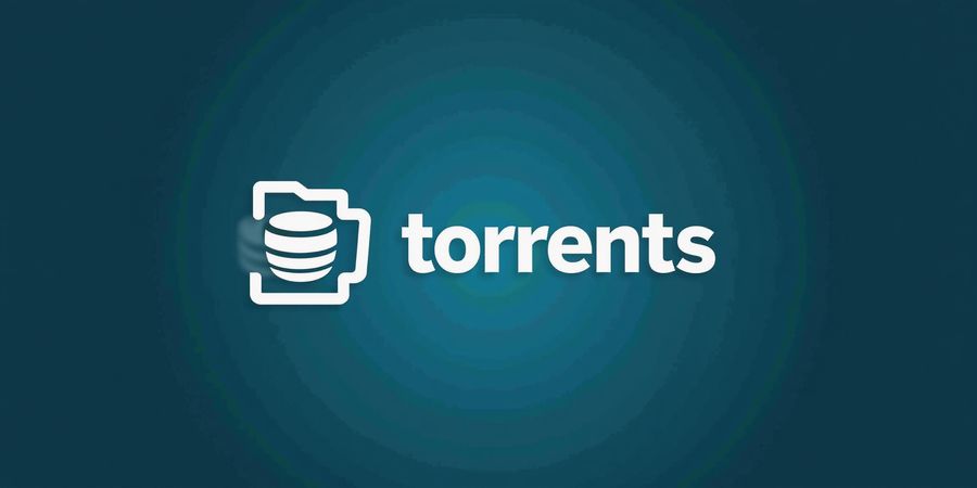 How to Use Torrents Safely: A Beginner's Guide