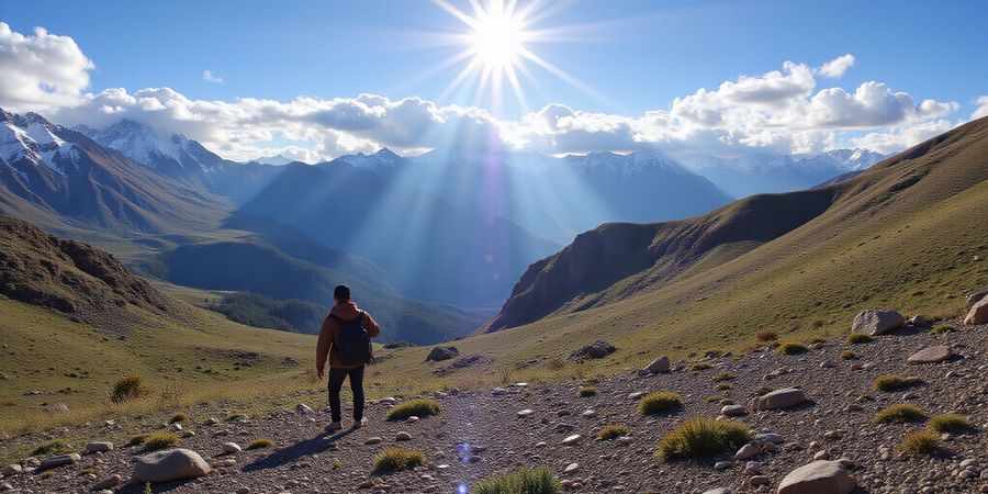 Forest VPN: Bolivia's Fastest & Affordable Streaming VPN