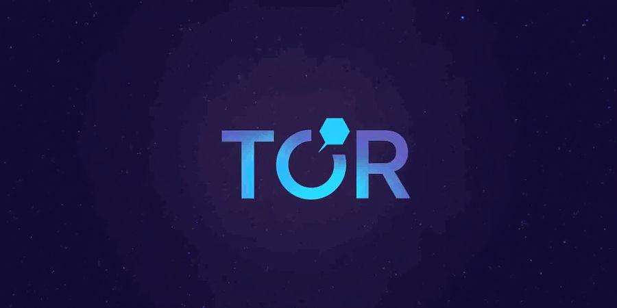 Tor Network Explained: Anonymity, Risks, and VPN Alternatives