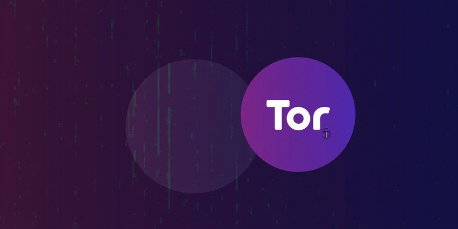 Secure Your Phone: Tor + VPN Guide