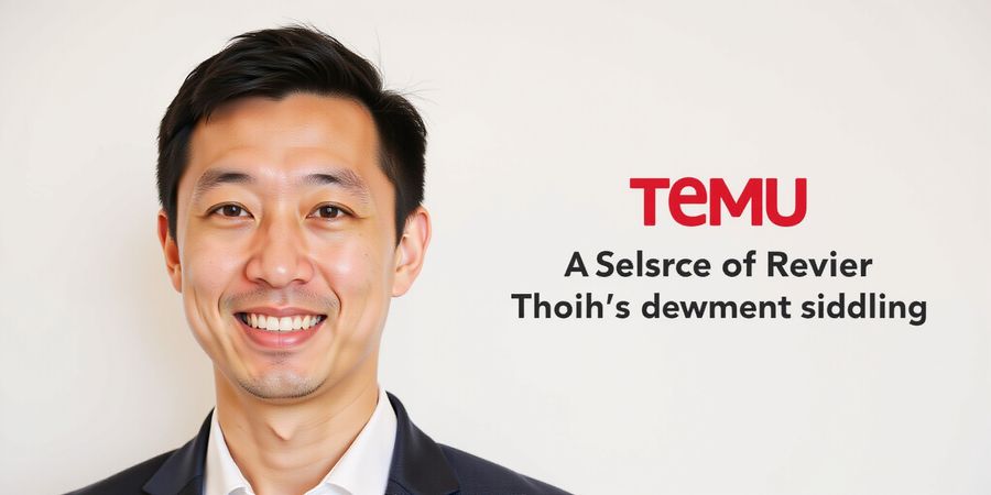 Temu Business Model: Fast Growth, Low Prices, Regulation