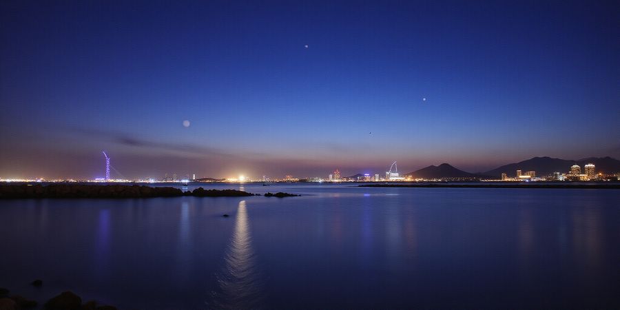 Forest VPN for Saudi Arabia: Secure, Affordable, Unblocked