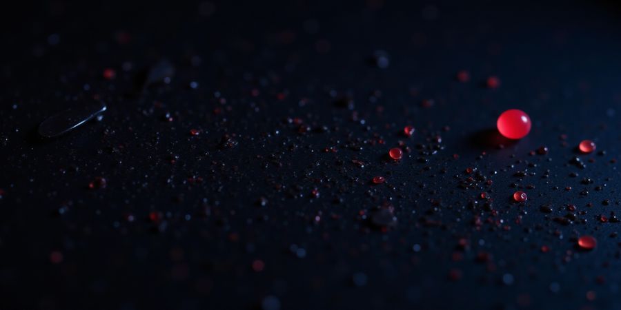 Secure Dark Web Browsing on Android with Tor + Forest VPN