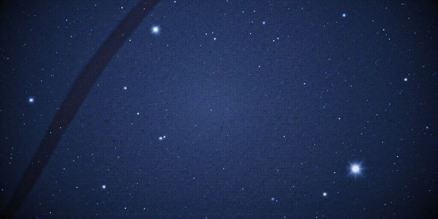 Forest VPN: Secure, Fast, Affordable Public Wi‑Fi Protection