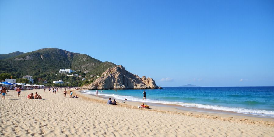 Secure Your Travel Streaming with Forest VPN