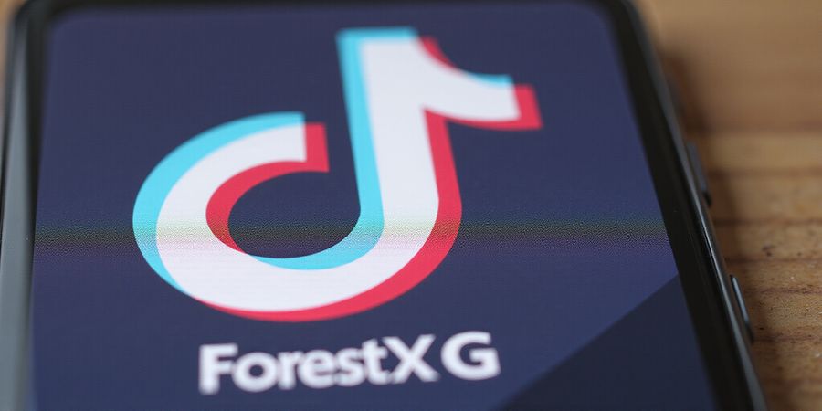 Forest VPN: Unblock TikTok, Tinder & More Fast