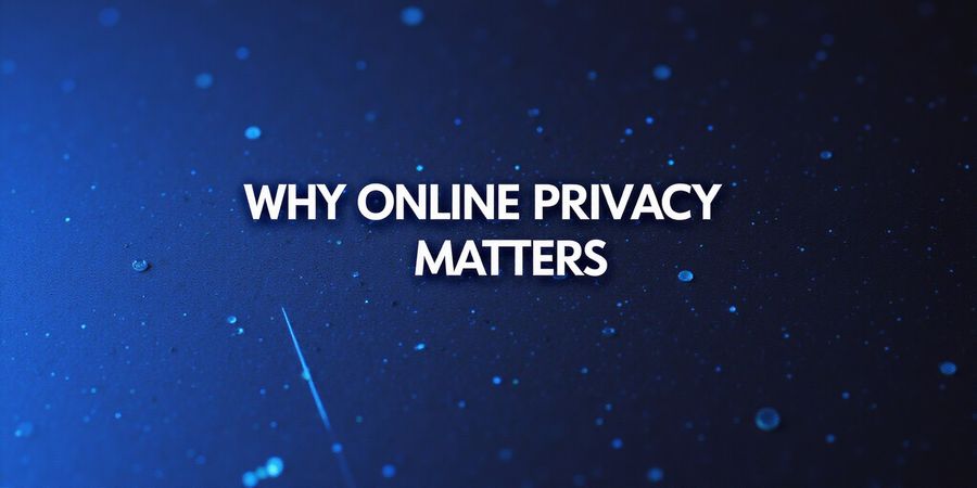 Stay Anonymous Online: VPNs & Privacy Networks