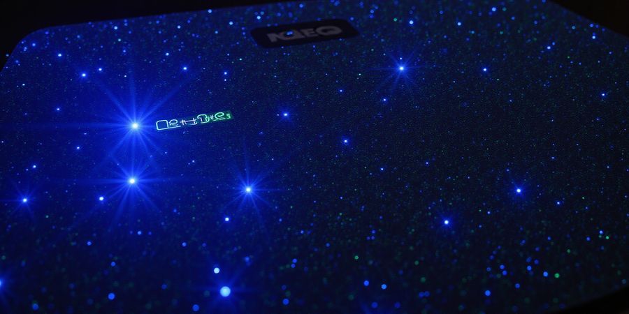 Forest VPN: Affordable, Lightning-Fast Security for Everyday