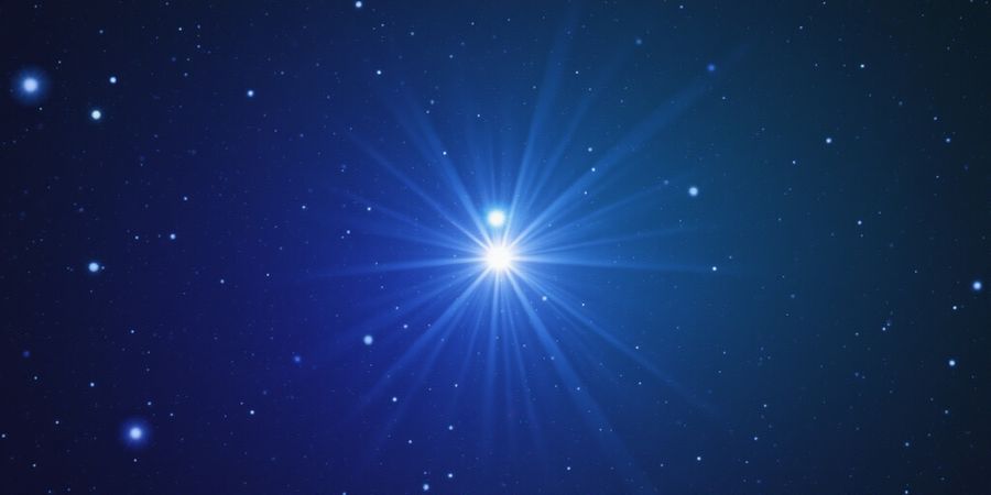 Secure Your iPhone with Forest VPN: Fast, Affordable, and Private