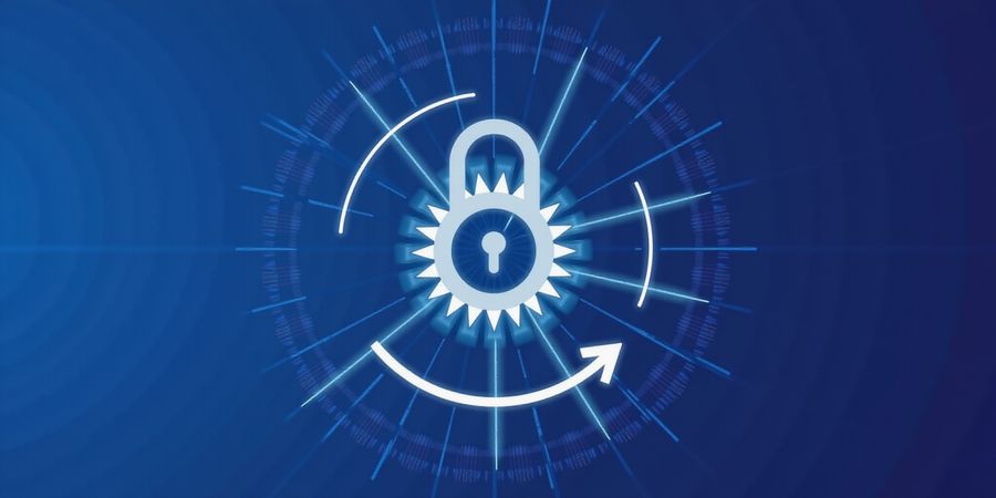 Best iPhone Free VPNs 2024: Forest VPN Review