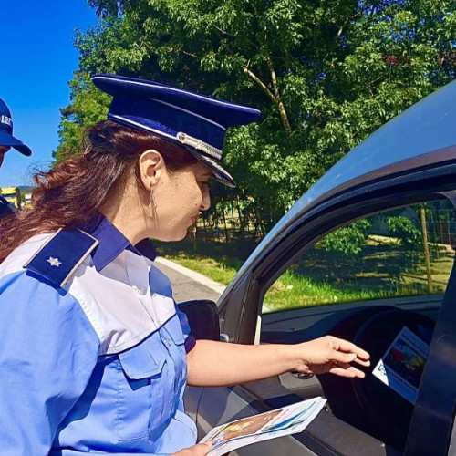 Șoferiță curajoasă în Argeș! Polițiștii au rămas șocați