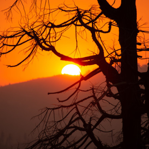 SUA se confruntă cu temperaturi extreme în weekend și incendii de vegetație în California