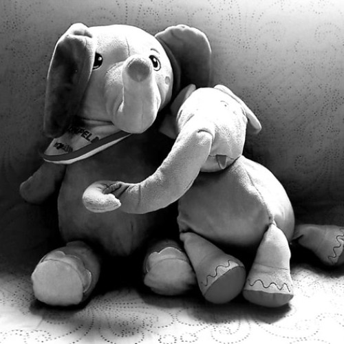 România, țara cu cea mai tânără bunică de 23 de ani