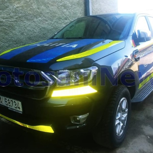 Polițiștii din Vlasinești au efectuat controale pentru verificarea gestionarii câinilor fără stăpân